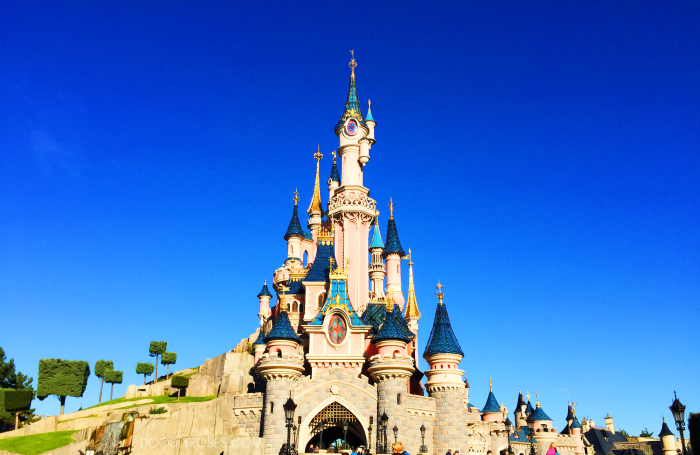 dlp